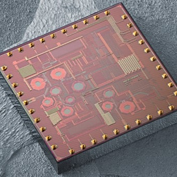 Bio/CMOS Interfaces Group
