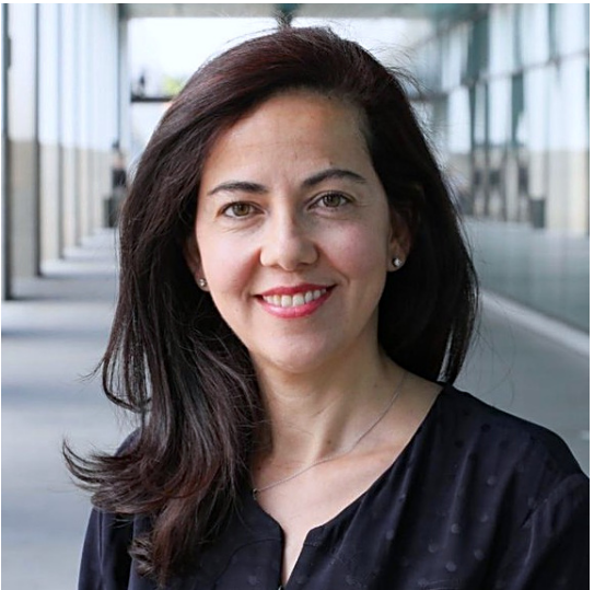 Prof. Hatice Altug